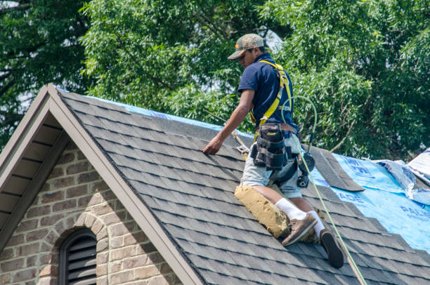 Best Gutter Installation and Roofing  in Kraemer, LA
